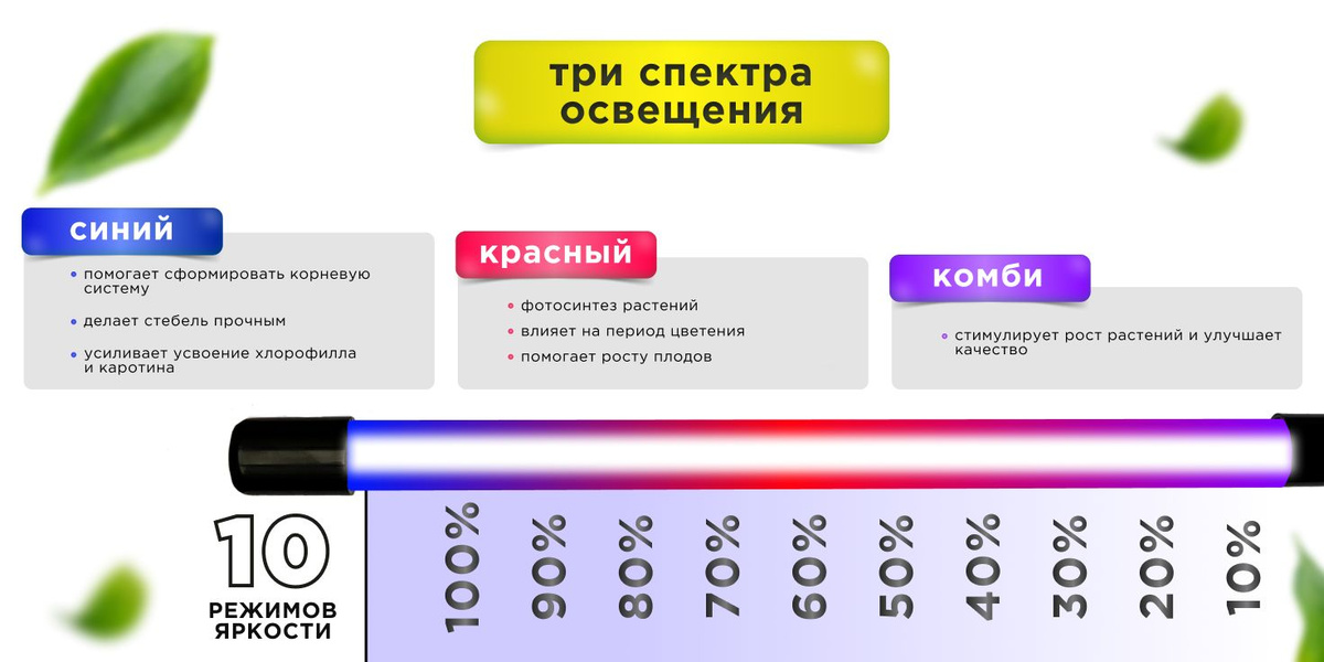 Текстовое описание изображения