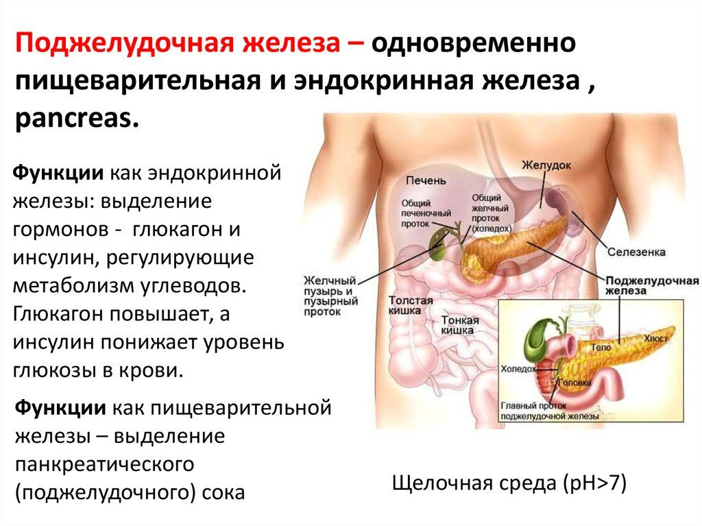 Почему выбирают нашу продукцию?