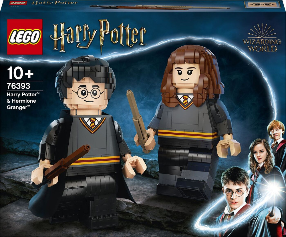 Конструктор LEGO Harry Potter 76393 Гарри Поттер и Гермиона Грейнджер  #1