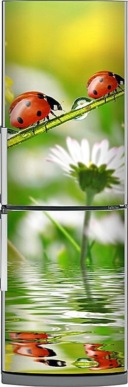 Большой магнит на холодильник "Божьи коровки" 60*200см. Магнит для дома, интерьерные магниты, картина, #1
