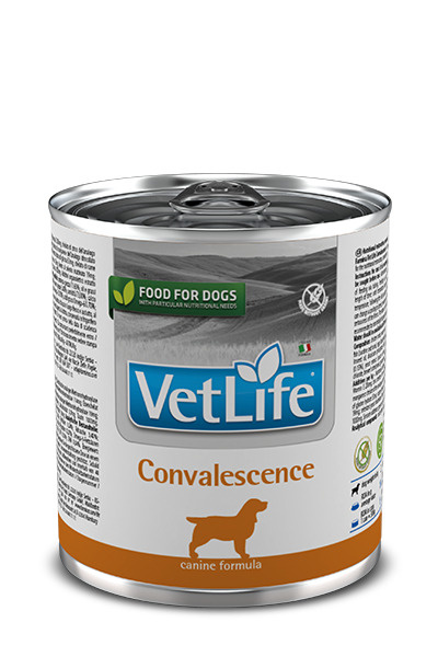 Farmina (Фармина) Vet Life CONVALESCENCE WET FOOD CANINE 300г (6 штук). Полнорационный диетический влажный #1