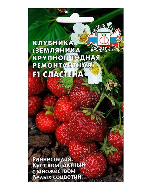 Клубника ремонтантная Сластена F1 15 шт., раннеспелый сорт, отличается крупными плодами с сочной мякотью. #1