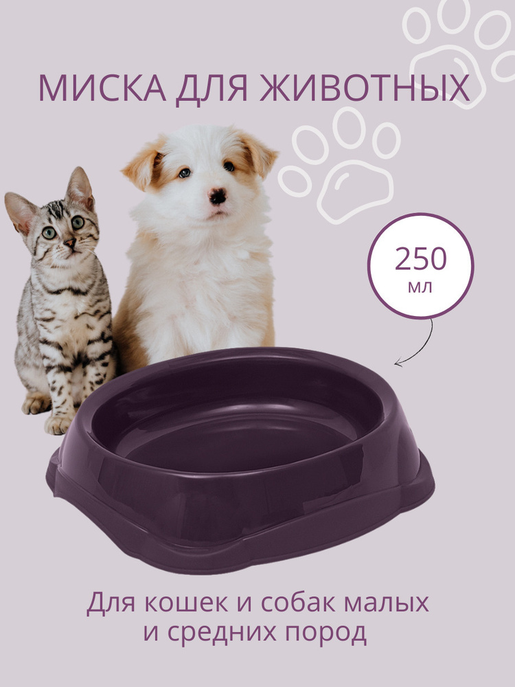 Миска для кошек, для собак, для котят DD Style / Кошачья миска / Чашка для воды и корма, лиловый, 250 #1