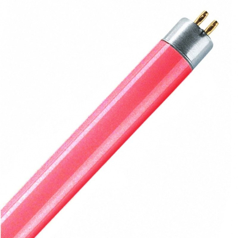 Foton Lighting Лампочка Лампа люминесцентная T4 G5, диаметр трубки 12мм_l=370мм d=12мм_141526, Красный #1
