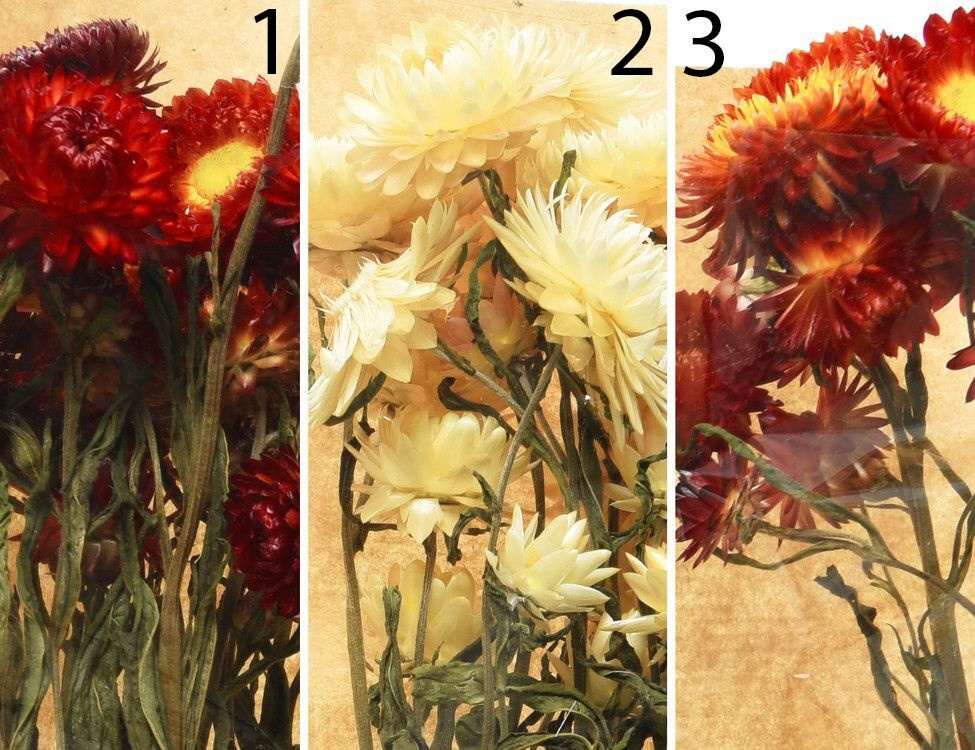 Kaemingk Искусственные цветы #1