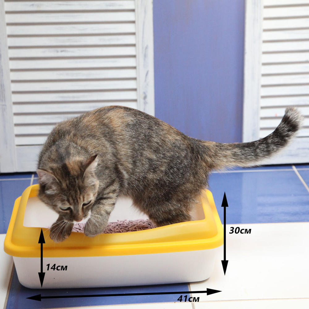 Лоток для кошек большой с бортом Шурум-Бурум туалет для кошек с сеткой пластиковый для котят  #1
