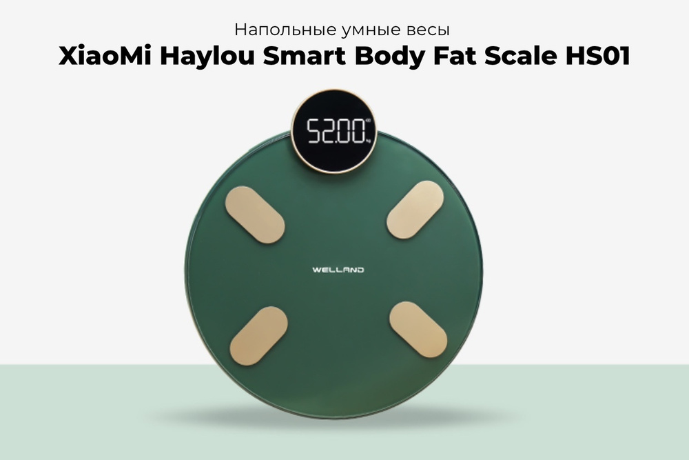 Haylou Напольные весы CM01 RU Dark green, нагрузка 150 кг, точность 50 г  #1