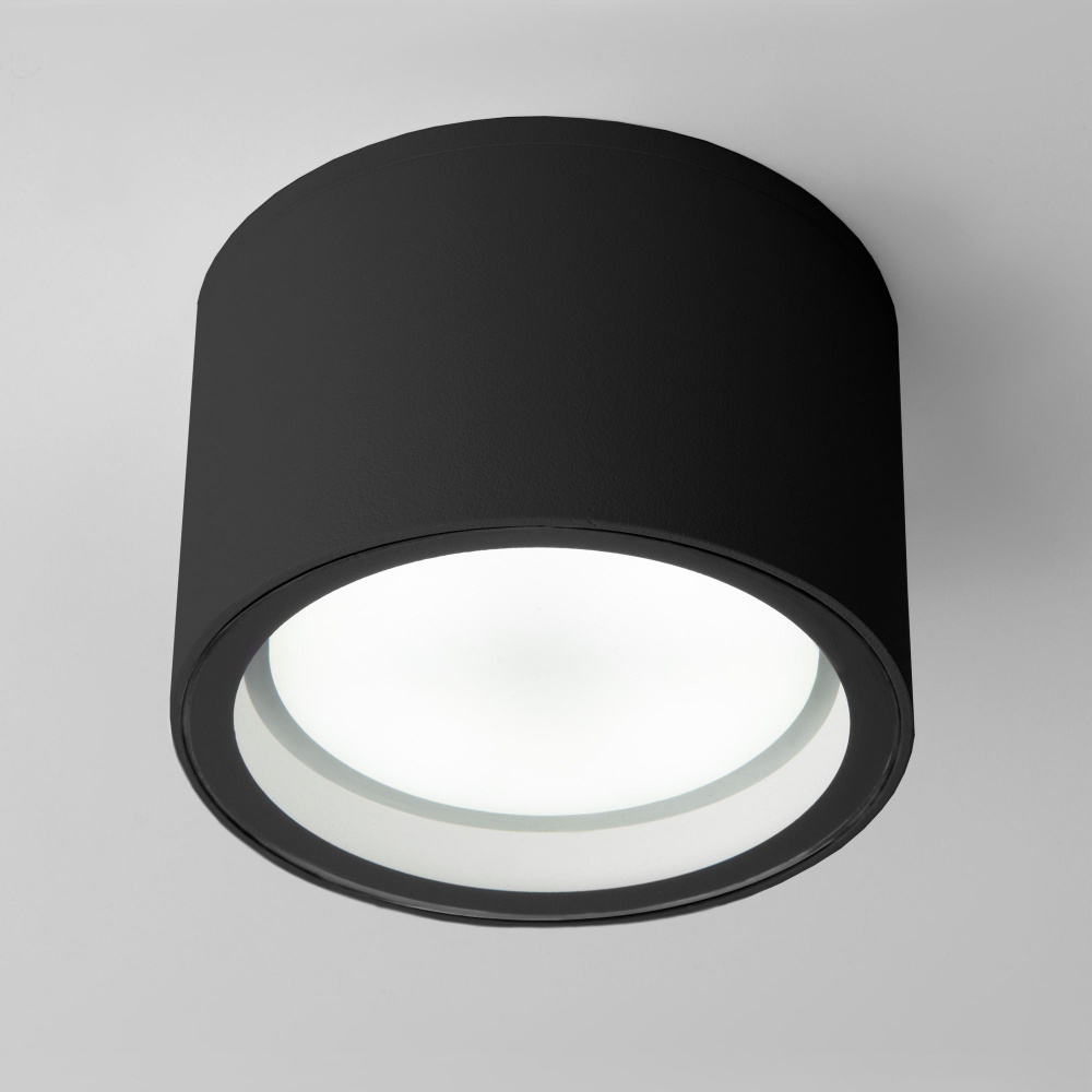 Уличный потолочный светильник Elektrostandard Light 26231 IP54 35144/H черный  #1