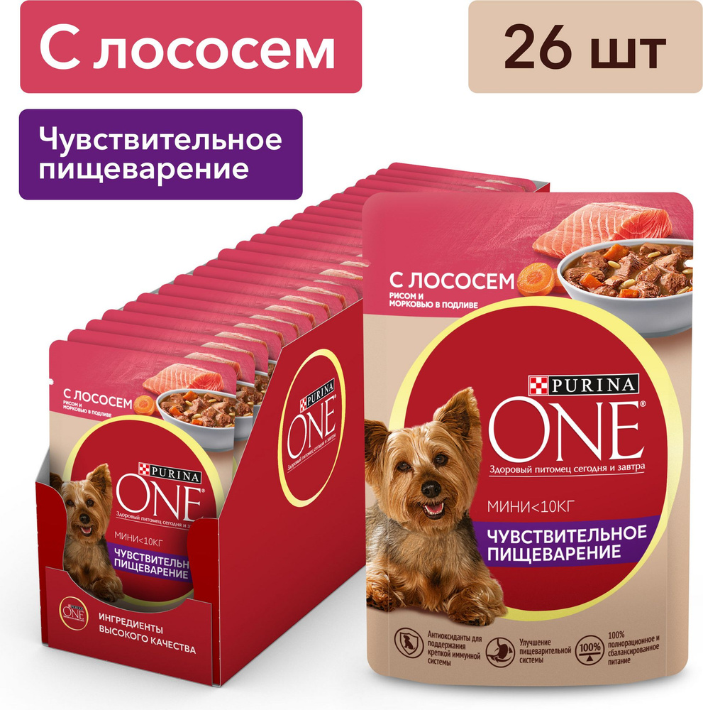 Влажный корм для собак Purina ONE МИНИ для мелких пород при чувствительном пищеварении, в подливе с лососем, #1