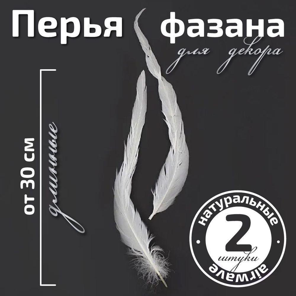 Перья фазана длинные Белый цвет, 30-35 см, 2 шт #1