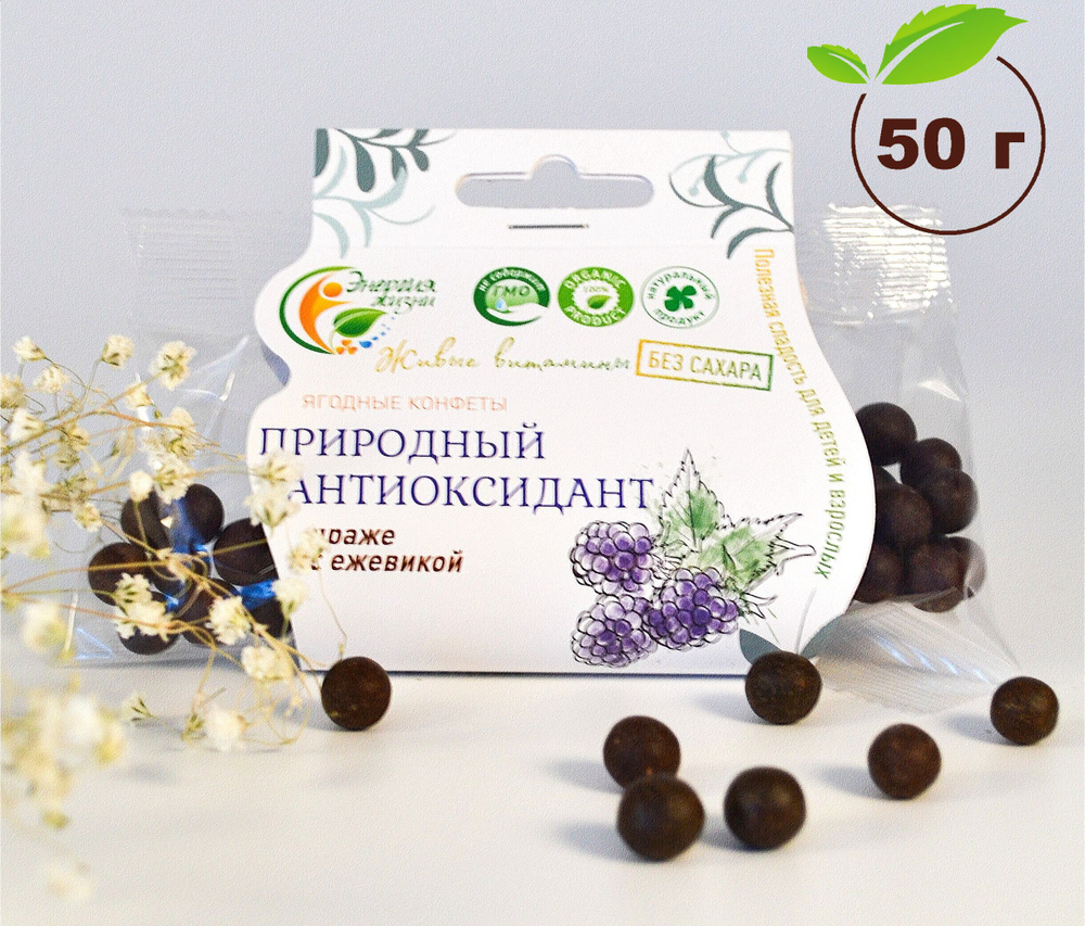 Живые конфеты без сахара для детей и взрослых Энергия жизни ЕЖЕВИКА диетическое, натуральное драже, 50 #1