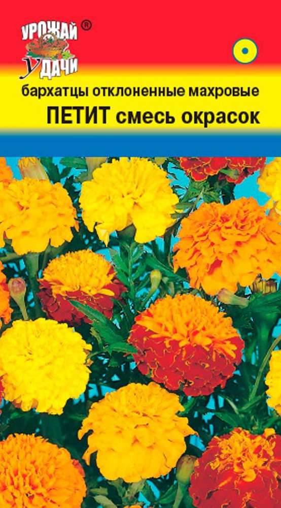 Семена Бархатцы отклонённые Петит Смесь (Семена УРОЖАЙ УДАЧИ, 0,3г в упаковке)  #1