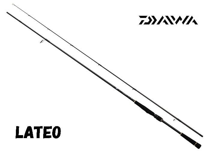 Daiwa Спиннинг, рабочая длина:  291 см,  до 35 гр #1