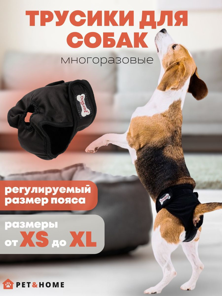 Трусы для собаки во время течки PET&HOME, подгузник для собак, черный, размер S  #1