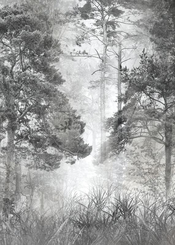 Фотообои флизелиновые на стену 3д GrandPik 10257 "Лес в тумане" см(ШхВ), 200х280 см  #1