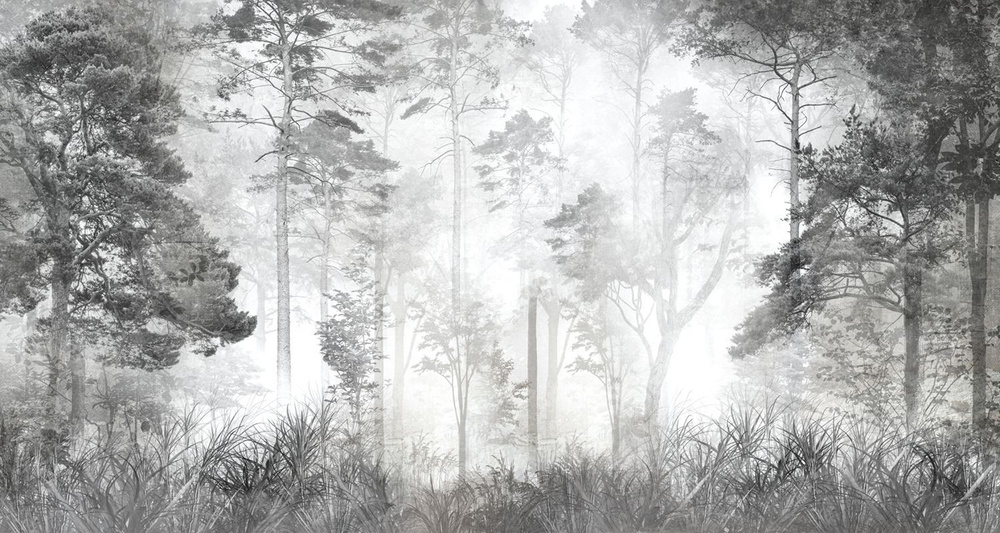 Фотообои флизелиновые на стену 3д GrandPik 10257 "Лес в тумане" см(ШхВ), 450х240 см  #1