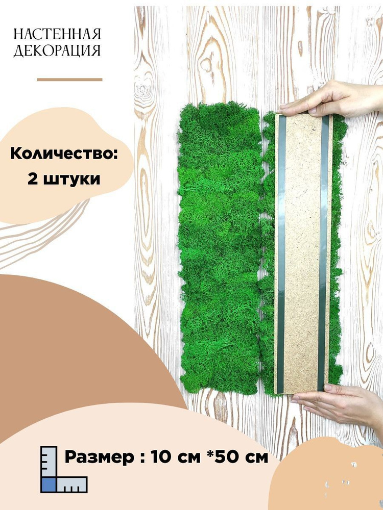 Панно из стабилизированного мха 10см*50 см 2 штуки / картина для декора / озеленения интерьера зеленое #1