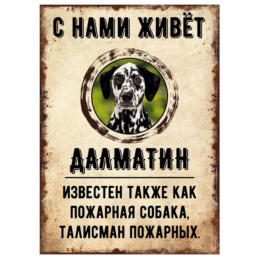 Табличка, декоративная, DANGER DOG, С нами живет Далматин, 18см х 25см  #1
