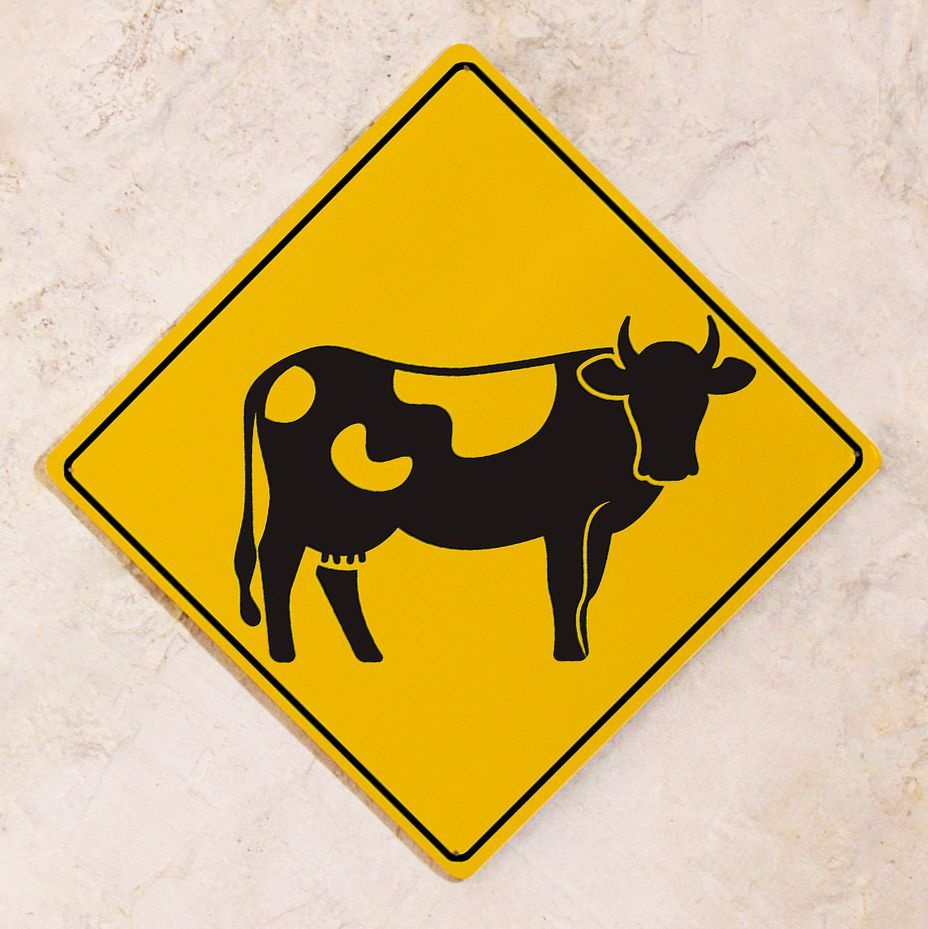 Прикольный предупреждающий Знак Осторожно! Корова для улицы и помещений, металл, 25х25 см.  #1
