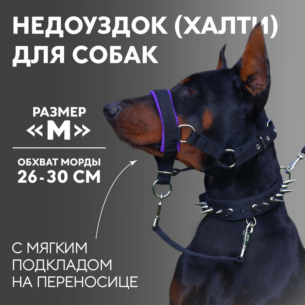 Недоуздок(халти) TESLA COLLAR для собак "M" с фиолетовым подкладом  #1