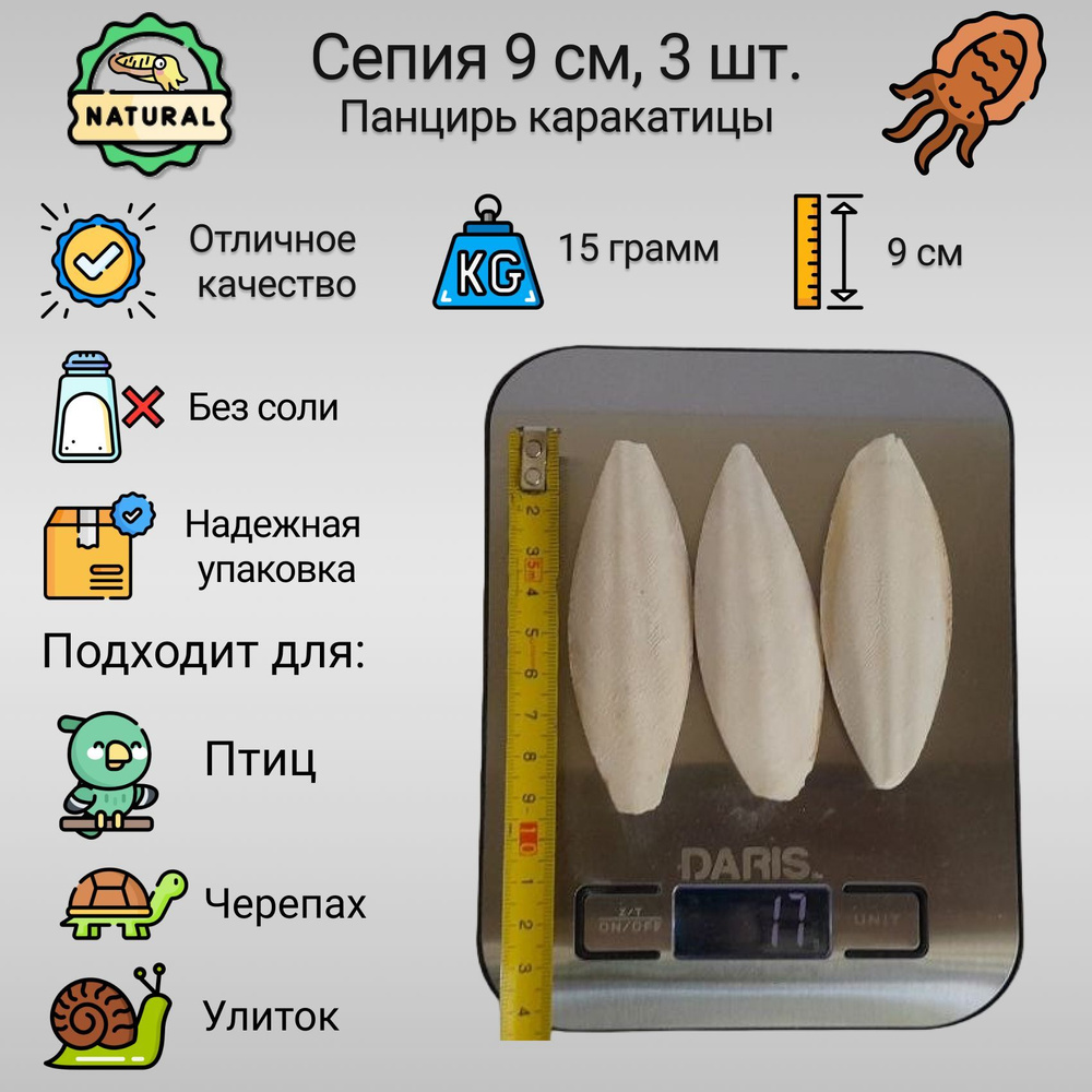 Сепия (минеральный камень) панцирь каракатицы для попугаев, улиток, черепах 9 см, 3 шт. (15 грамм) без #1