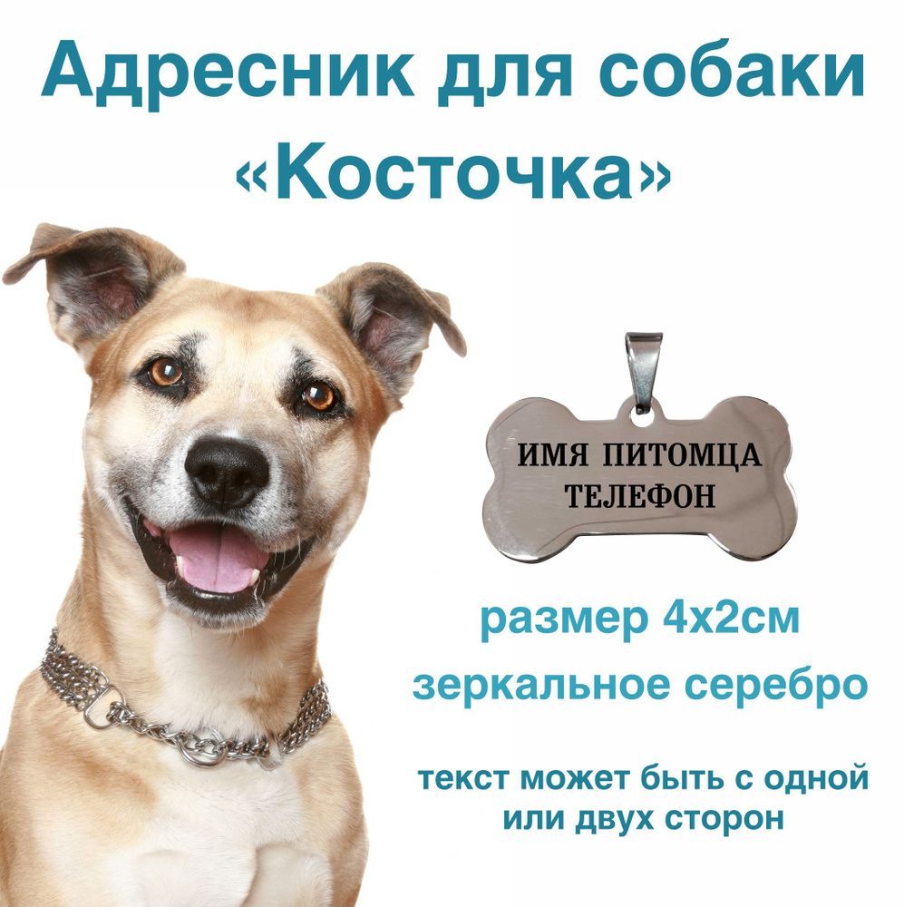 Адресник-жетон для собак с гравировкой (нержавейка с покрытием "зеркальное серебро")  #1