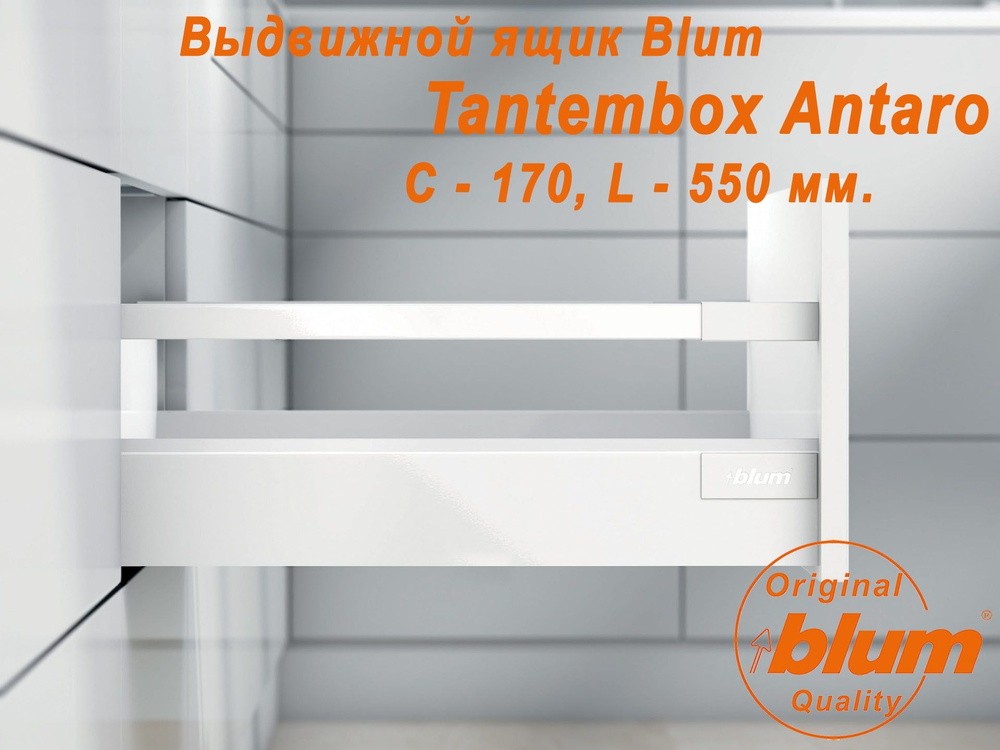 Выдвижной ящик BLUM TANDEMBOX ANTARO, высота C (170 мм.), L- 550 мм., белый  #1