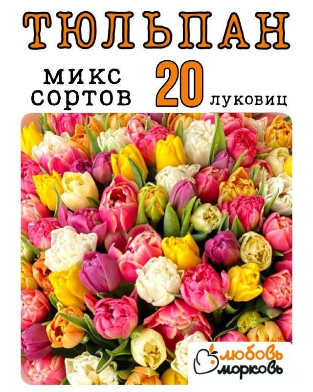 Тюльпан Луковица, Микс сортов, 20 шт (Любовь морковь) #1