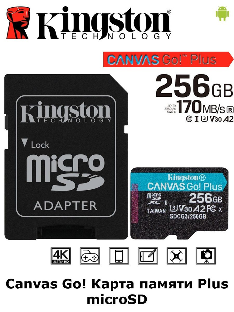 Карта памяти Canvas GO Plus 256 ГБ #1