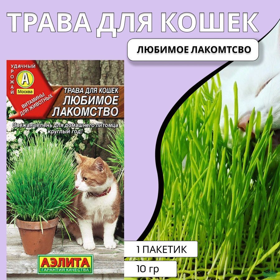 Трава для кошек, семена для проращивания, травка, лакомство, Аэлита 1 пакетик 10г  #1