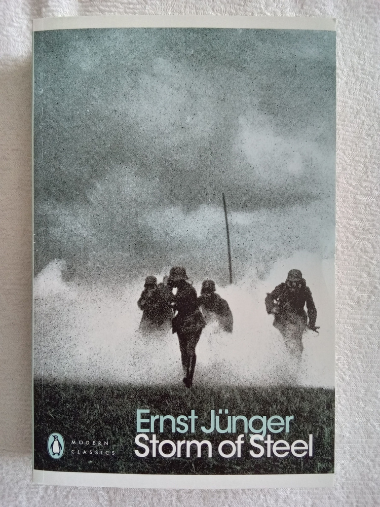 Ernst Junger Storm of Steel Эрнст Юнгер В стальных грозах | Юнгер Эрнст ...