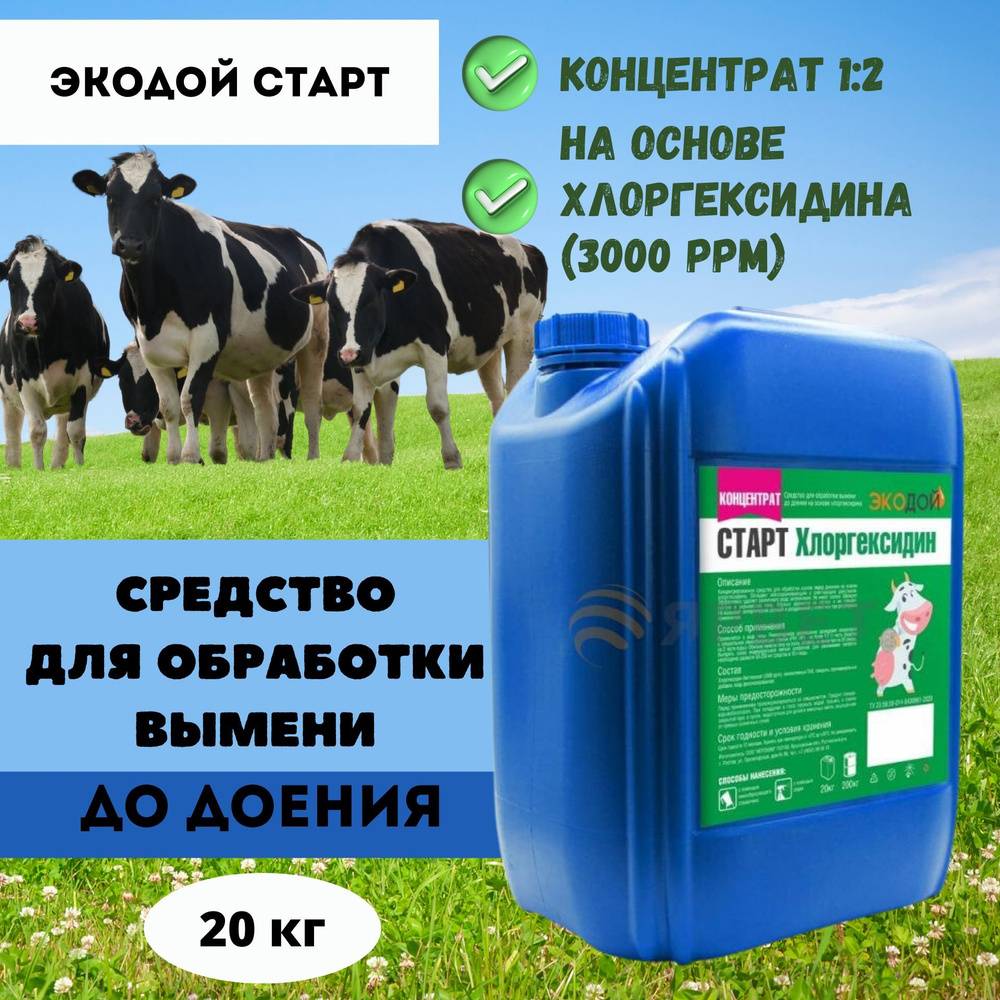 Средство для обработки вымени до доения Экодой СТАРТ Хлоргексидин (3000 ppm), 20 кг (Концентрат 1:2) #1