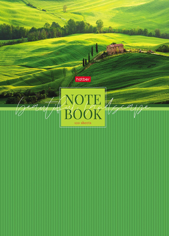 Бизнес-блокнот Hatber 120л А4 5-цв. блок клетка твердый переплет глянц. ламин.-Зелёные долины-  #1