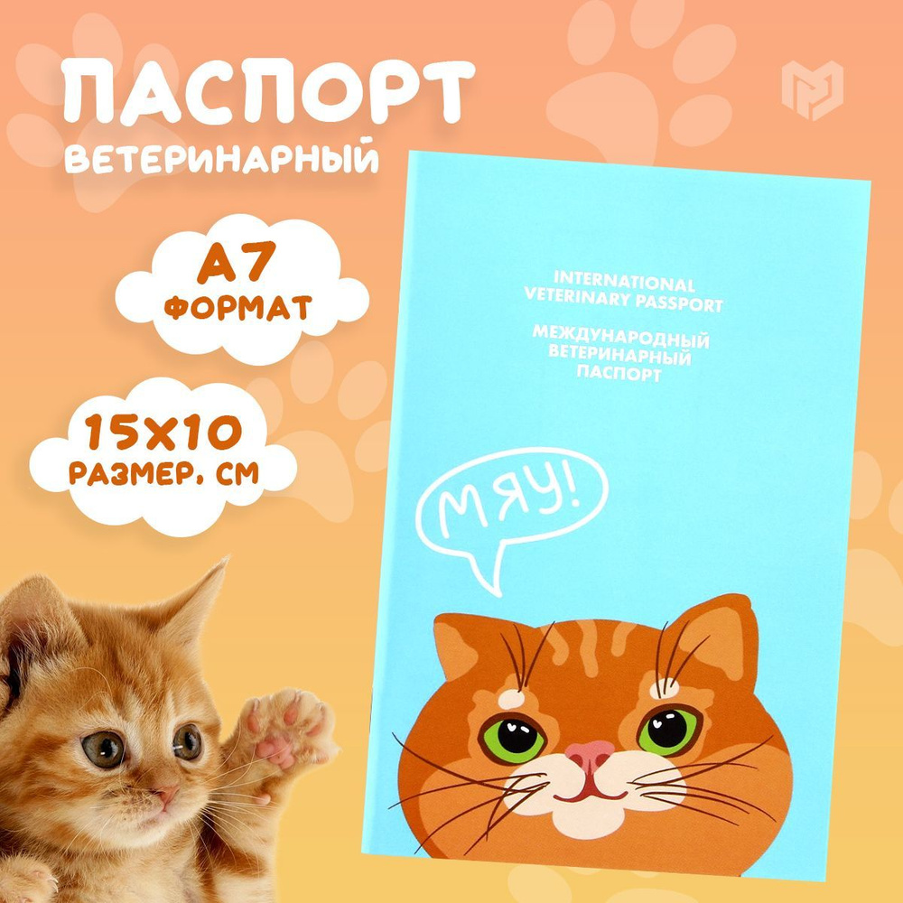 Ветеринарный паспорт для кошек "Рыжий кот", международный  #1