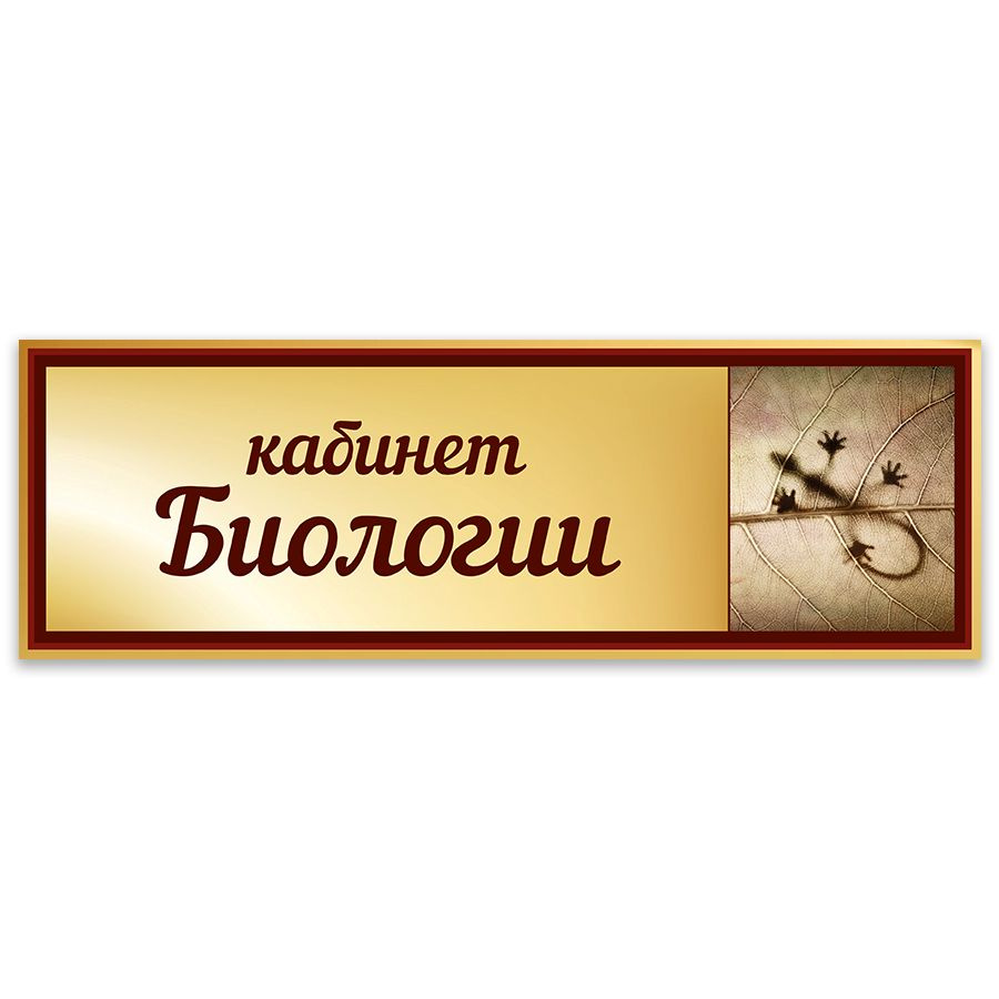 Табличка, Дом стендов, Кабинет биологии, 30 см х 10 см, в школу, на дверь  #1