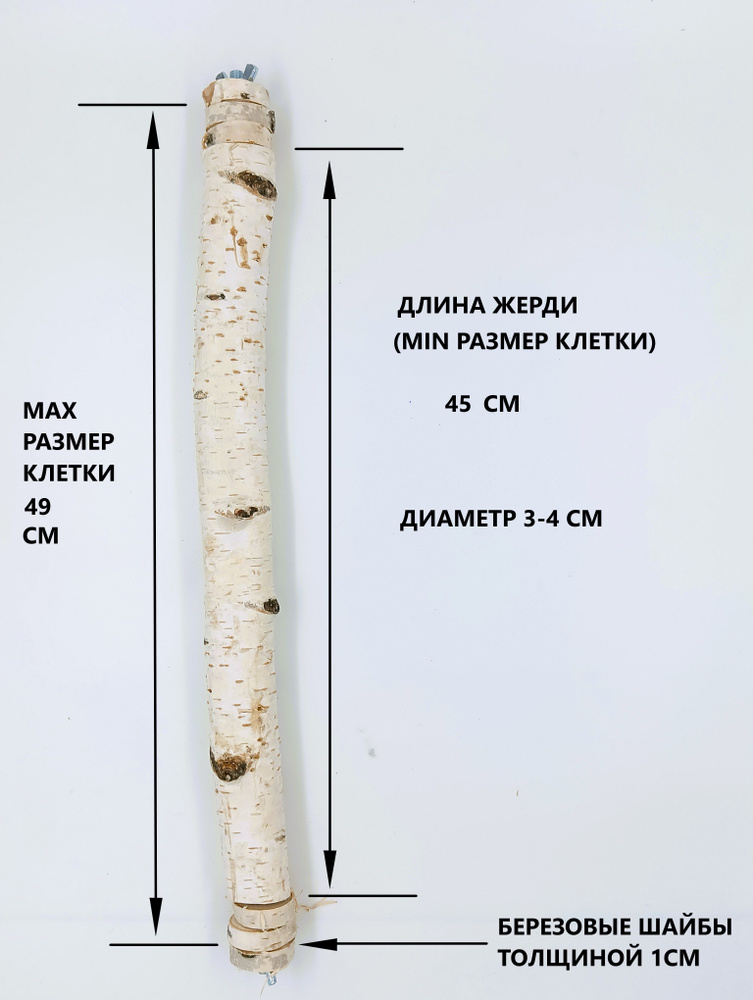 Жердь для крупных попугаев D 3-4 см. длина 45-49 см. #1