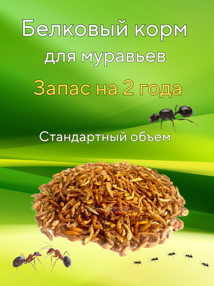 Белковая смесь гамарус для муравьев жнецов Messor structor мессор структор  #1