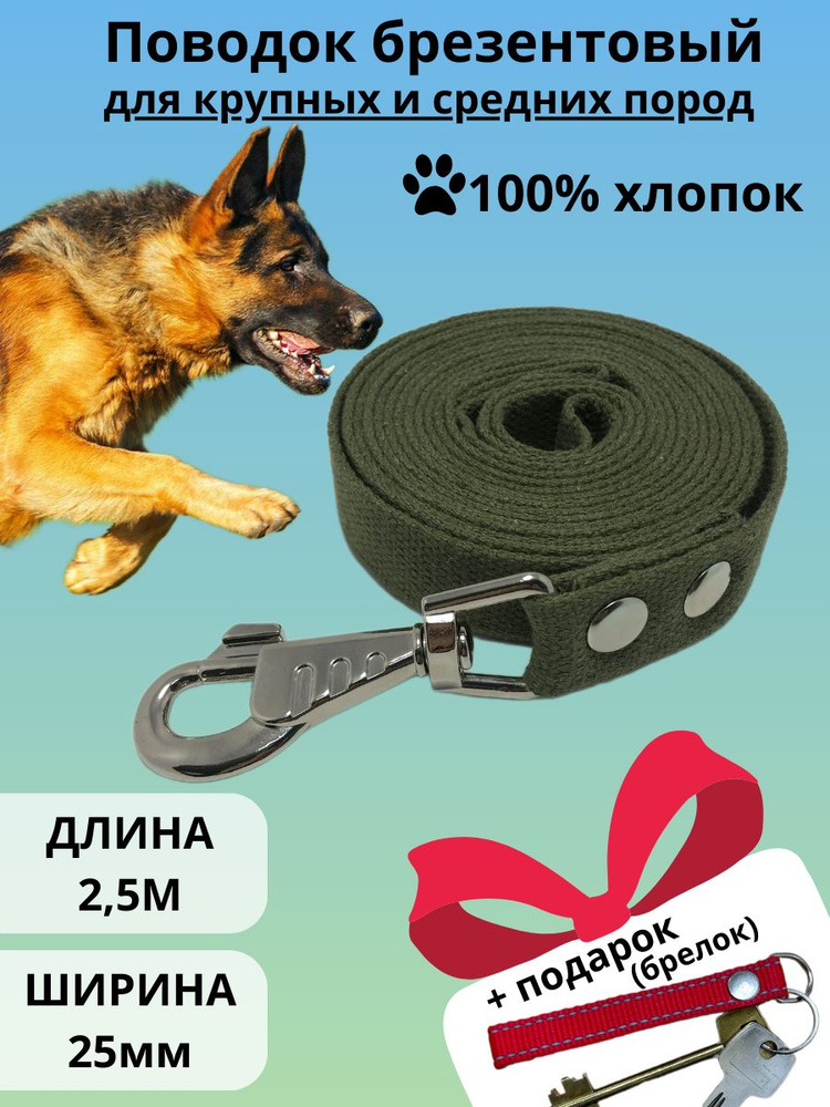 Поводок для собак брезентовый 2,5 м., шириной 25 мм ,зеленый с подарком  #1