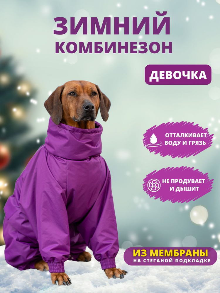 Комбинезон зимний для собак крупных пород SNOW plus, 60+ж (сука), фиолетовый, 5XL+  #1