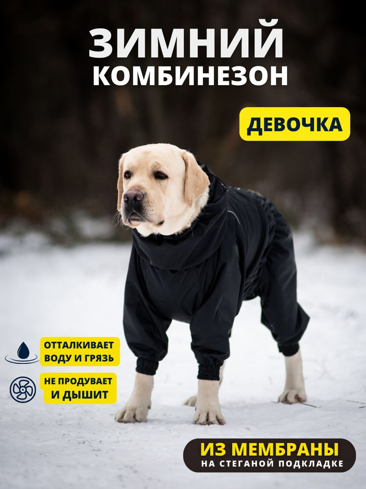 Комбинезон зимний для собак крупных пород SNOW plus, 60+ж (сука), черный, 5XL+  #1