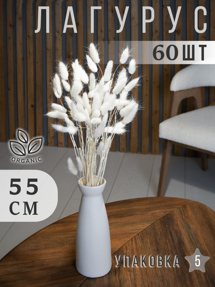 Лагурус сухоцвет белый 60шт, Сухоцветы для декора ARANTA, Букет 55 см  #1