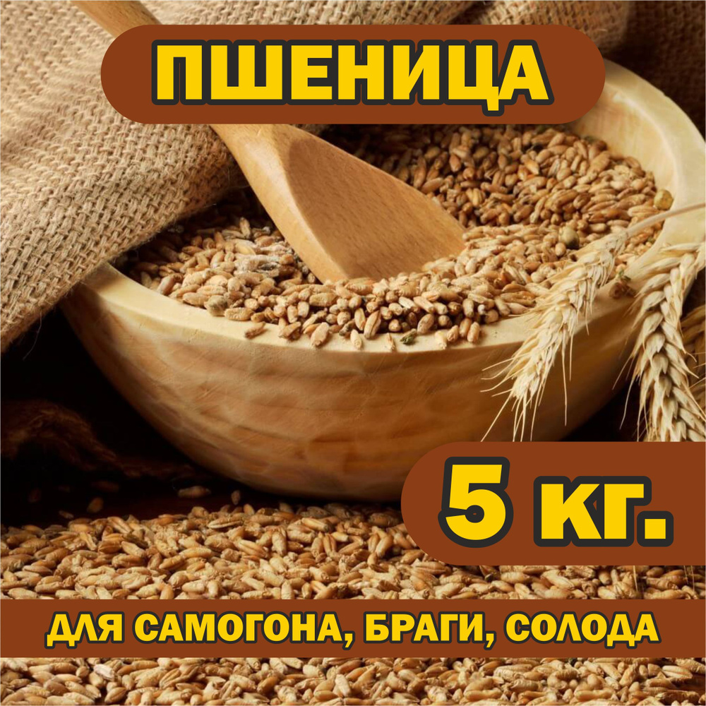 Пшеница 5 кг. для самогона, браги, солода, брожения, проращивания.  #1