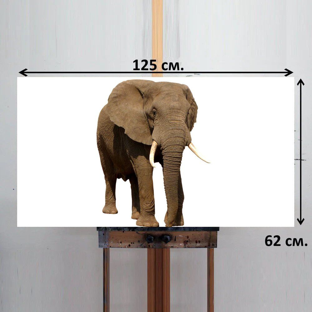 LotsPrints Картина "Слон, животное, млекопитающее 82", 125 х 62 см  #1