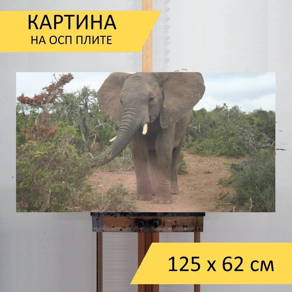 LotsPrints Картина "Слон, дикая природа, африканец 94", 125 х 62 см  #1