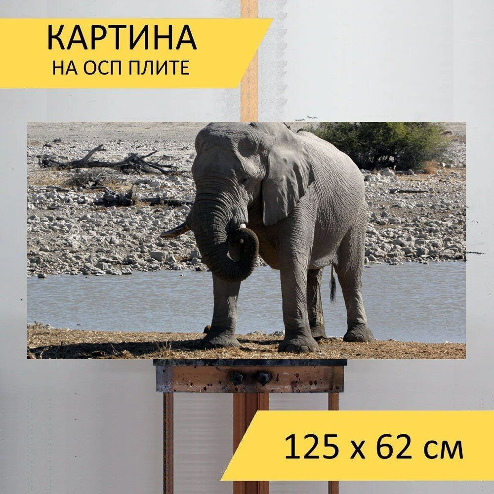 LotsPrints Картина "Слон, животное, намибия 77", 125  х 62 см #1