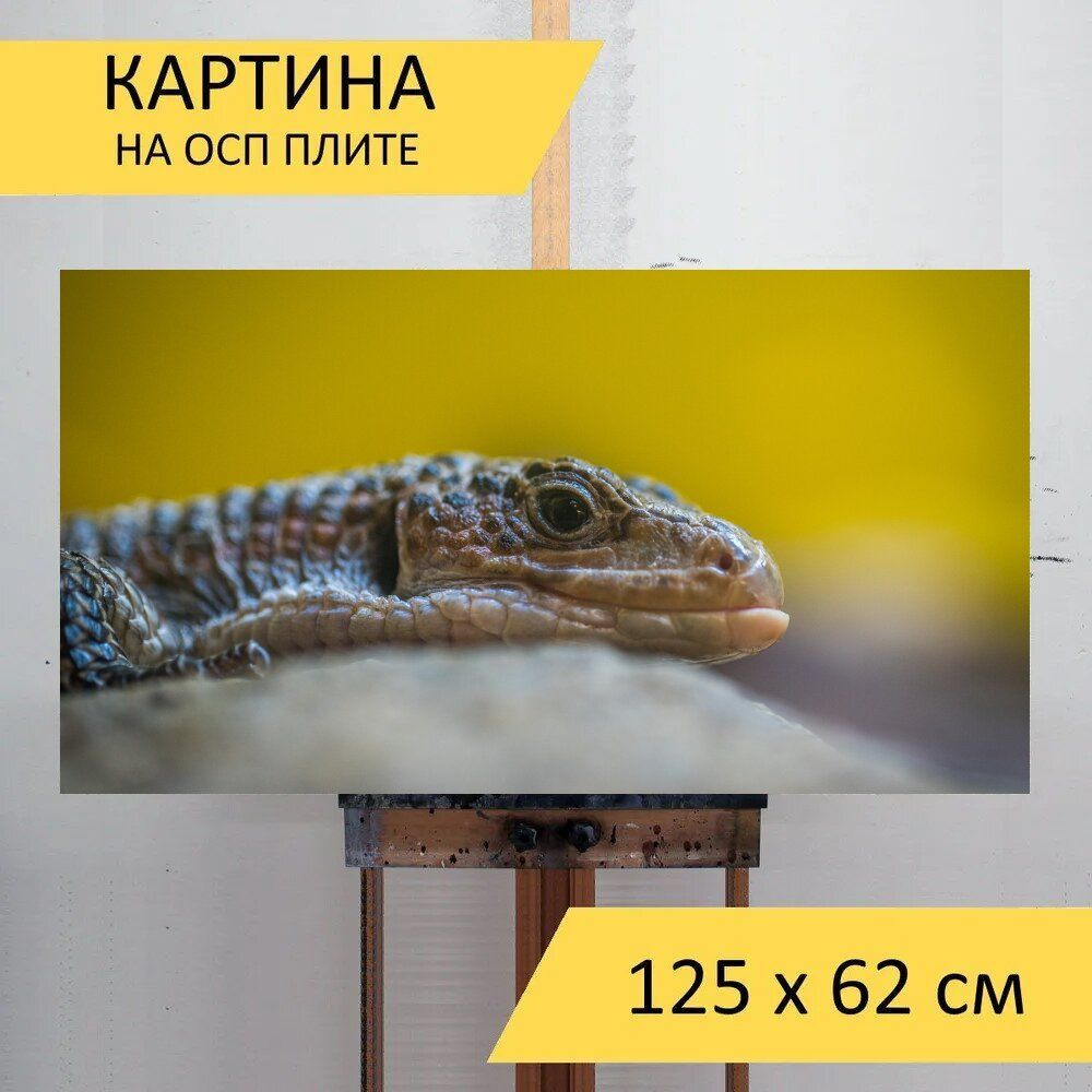 LotsPrints Картина "Рептилия, ящерица, живая природа 94", 125 х 62 см  #1