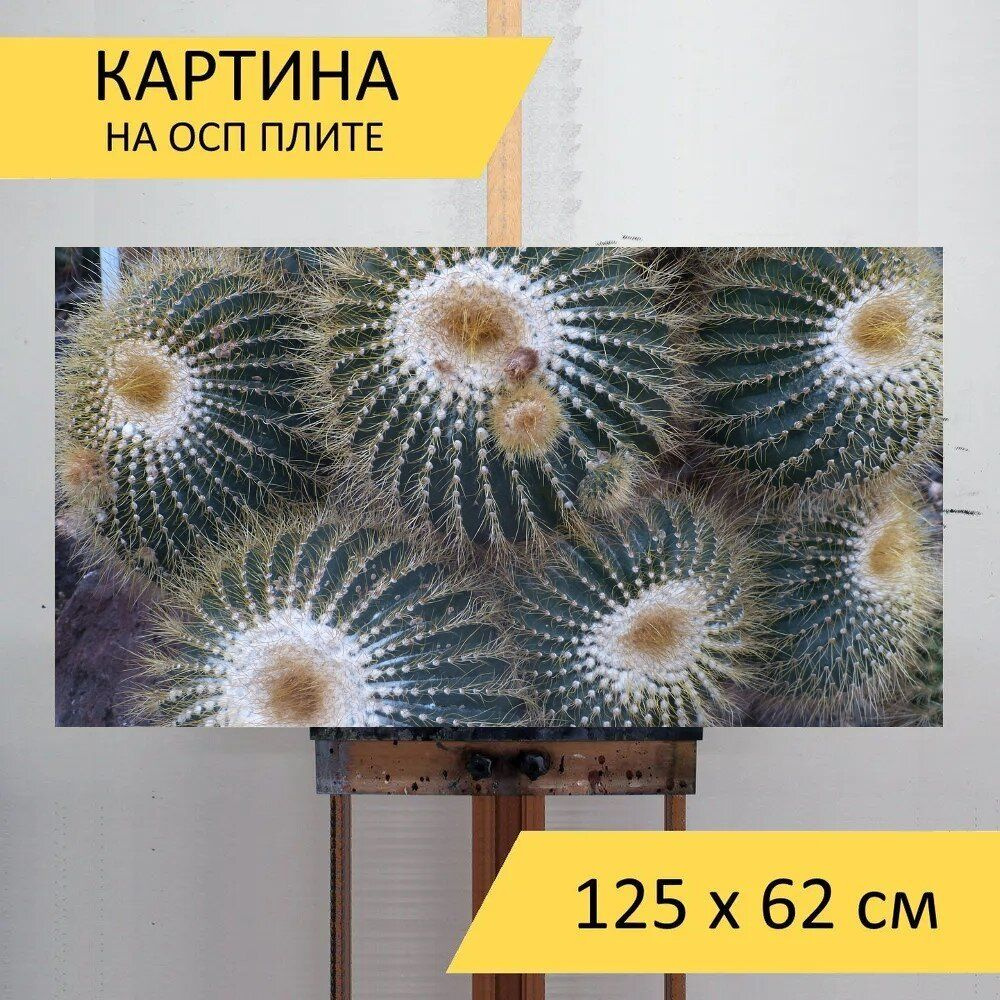 LotsPrints Картина "Кактус, кактусы, завод 11", 125  х 62 см #1