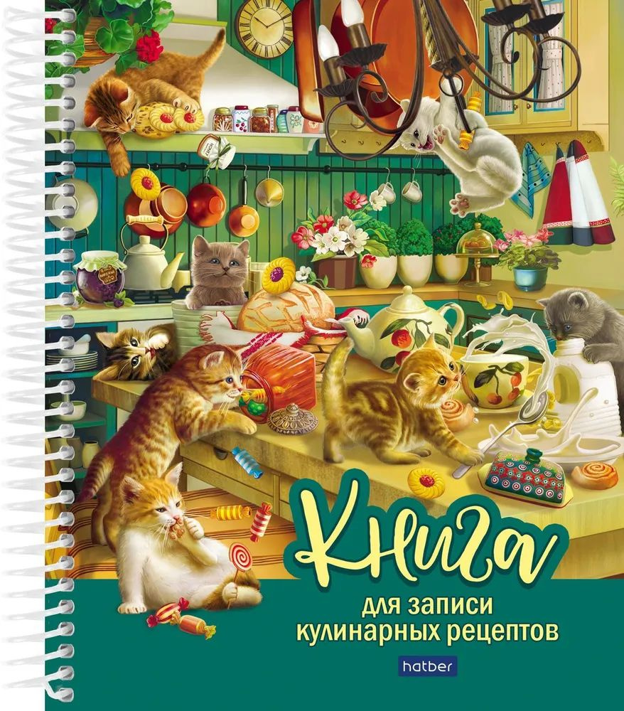 Книга для записи кулинарных рецептов 80л А5 5 цв.разделит.на пластик.спирали "Котики бывают разные"  #1