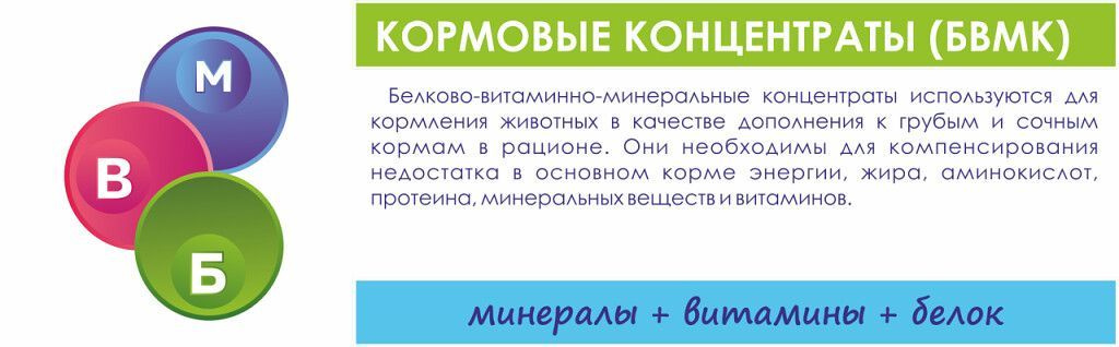 Текст при отключенной в браузере загрузке изображений