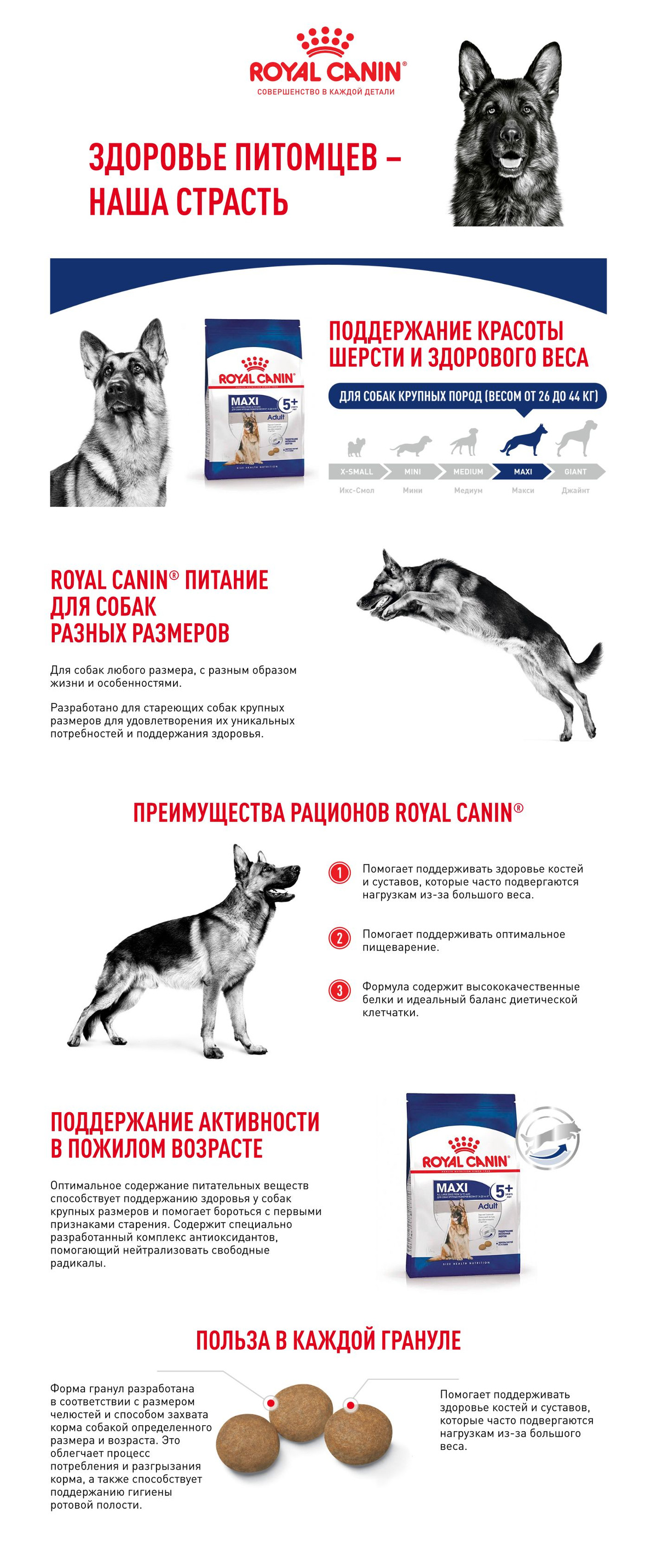  Сухой корм для собак крупных пород старше 15 месяцев Royal Canin Maxi Adult